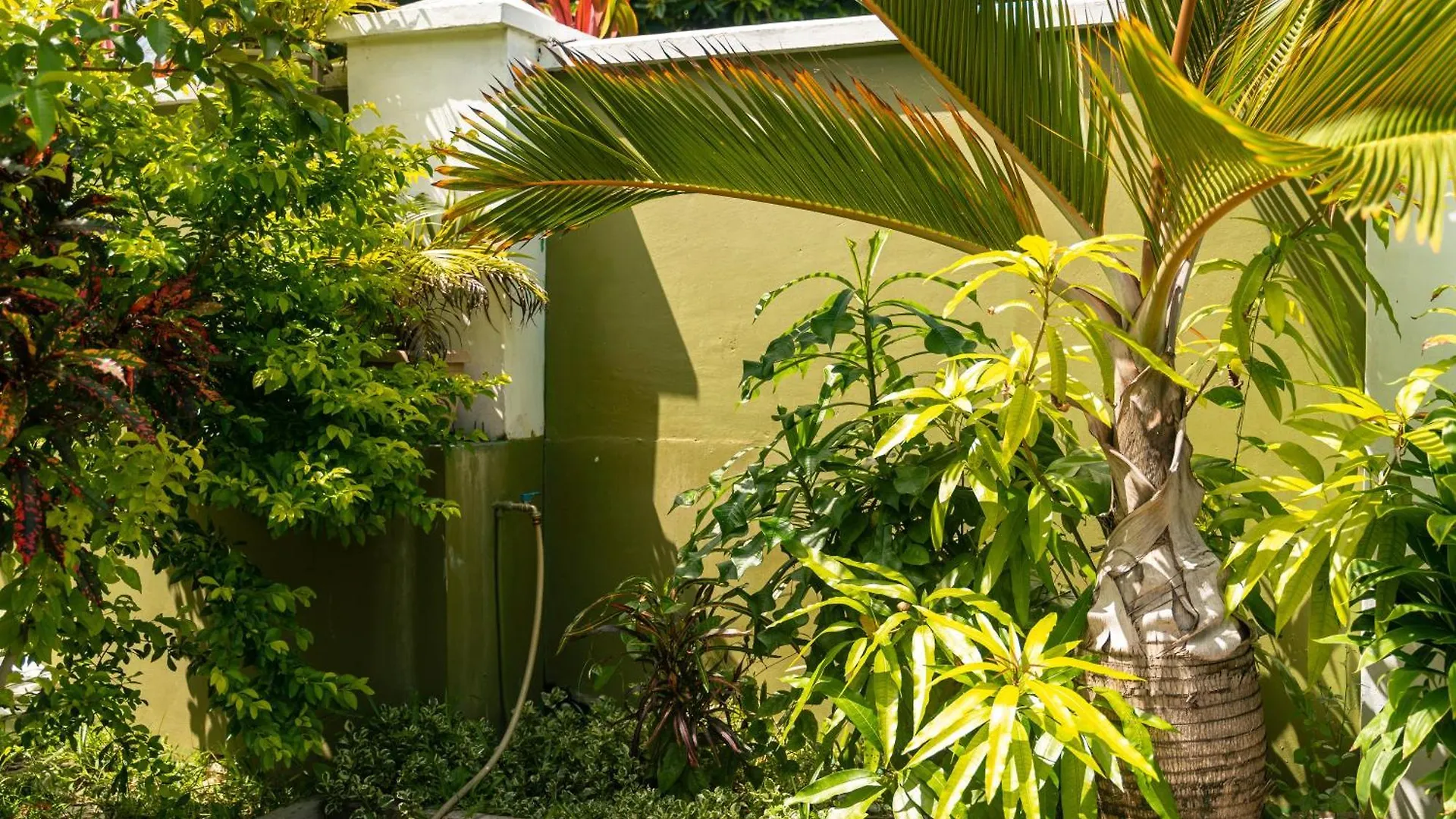 340 Degrees Mountain View Apartments Anse a La Mouche