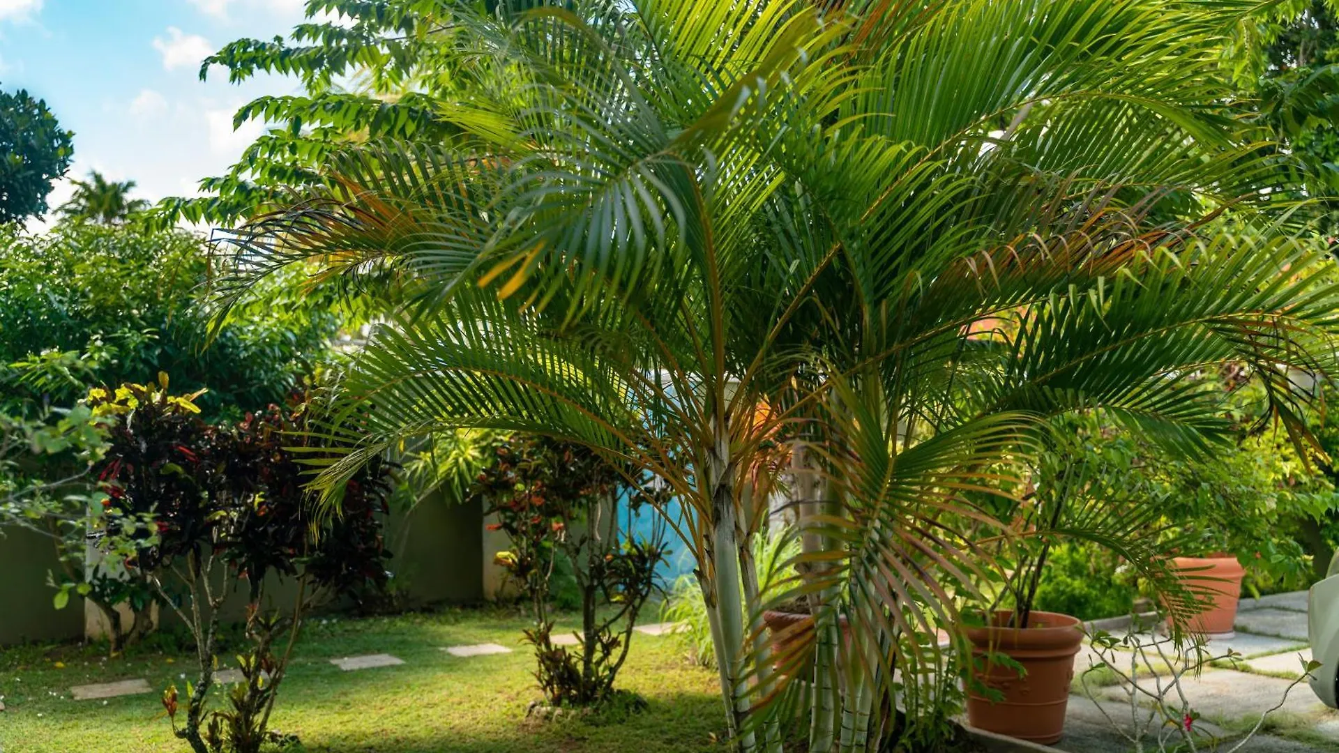 340 Degrees Mountain View Apartments Anse a La Mouche